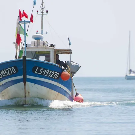 T2 Renove Avec Terrasse A 200m De La Plage, Proche Commerces - - Fr-1-92-814 Les Sables-d'Olonne