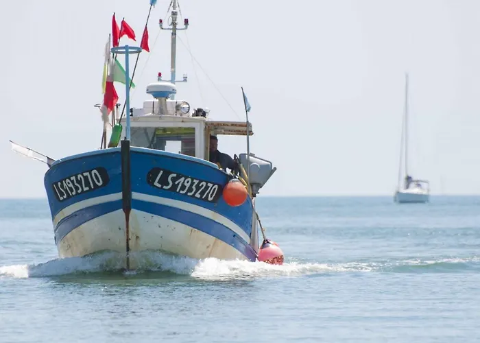 T2 Renove Avec Terrasse A 200m De La Plage, Proche Commerces - - Fr-1-92-814 Les Sables-d'Olonne